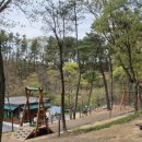 해오름 유아숲체험원 | 대구근교 아이와 가볼만한곳 칠곡 벌꿀나라 유아 숲체험원 체험 후기