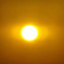 원조장터곱창 이미지