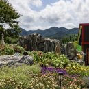 백화쉼터 이미지