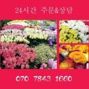 합천장례식장 이미지