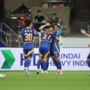 울산대파 이미지