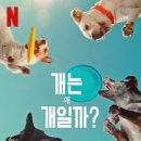 르네아트 이미지