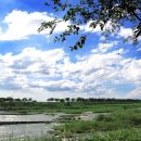 전주 하늘 이미지