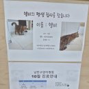 낭만고양이병원 이미지