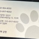 영희랑 바둑이랑 애견미용실 이미지