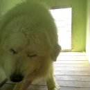 럭키농장 이미지