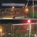 블루콘텔 이미지