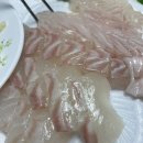 군산수산물종합센터 횟집 추천, 활어 6번 &lt;오성수산&gt; 후기