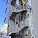 럭키(아) | 일본 시즈오카 참치덮밥 맛집 시미즈코 미나미 인생참치 만남
