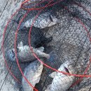 독도바다낚시터 이미지