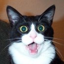 대방스포츠센타 이미지