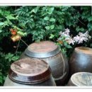 고향생각 이미지