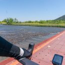 고달리다리 이미지