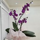 바르체바른체형운동