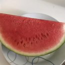 메구스따