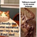 My Easy English (관용표현) | 26/02/10 영어 일기 - 영어 일기 / 챗지피티 평가 / 개선점