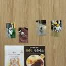 방학동 카츠 맛집 (엘돈) 방문 후기
