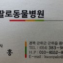 버팔로 동물병원 이미지