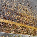 251008(수) 관악산 산행 : 문원폭포+케이블카 능선+용마계곡(별다섯 대장님) 이미지