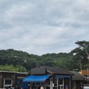 화목헤어 | 충남 태안] 산책코스가 좋은 안면도 자연휴양림 화목5호 후기
