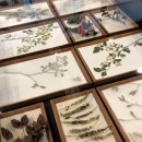 문화정보도서관 주차장 이미지