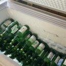 단골전집 이미지