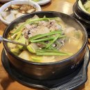 고반식당속초엑스포점 | 속초 삼겹살 맛집 고반식당 고깃집 올데이속초패스