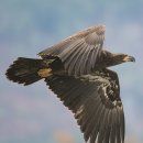 연준농장 이미지