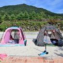 지리산생태체험단지 이미지