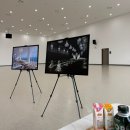 벨라마레 | [W.00]: 인천 송도 마레벨라 웨딩 상담 후기(계약O)