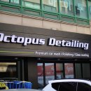 옥토퍼스 디테일링 이미지