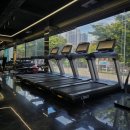 디엘 짐 이미지