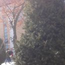 광동중학교 이미지