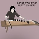 `첼로' 전공하면 뭐먹고 살아요? 첼로 전공하시려는 분들께!!!