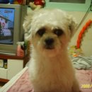 건영슈퍼 이미지