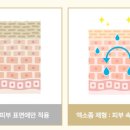더리체앤