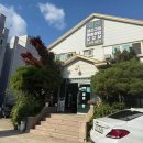 한스 강아지방 이미지