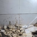 익산누수탐지 | 익산 망성면 누수탐지 후기, 수도계량기 계속 돌아갈 때 냉수 배관 누수 수리 현장