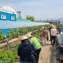 경도농장 이미지