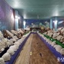 울산해양박물관 이미지