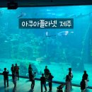 ㈜지에스아이환경 | 아이와 함께한 제주 아쿠아플라넷 후기(주차•입장•오션아레나공연 등)