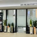 분당 피엘 동물피부클리닉 이미지