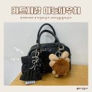 카드지갑 가방파우치 : 해피베어 미뇽파우치