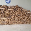 밤실흑염소농장 이미지