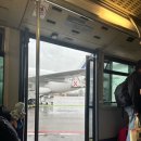 다빈치오락실 이미지