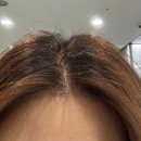 두핏 이미지
