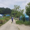 모산봉등산로 이미지