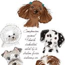 귀족동물병원 이미지