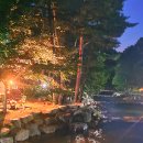 오도산 자연휴양림 이미지