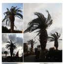 The Park(뷔페식당) 이미지